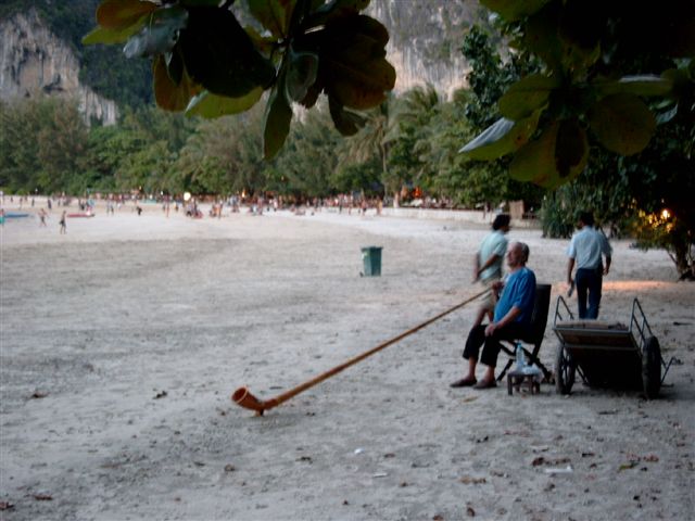 alphorn.jpg